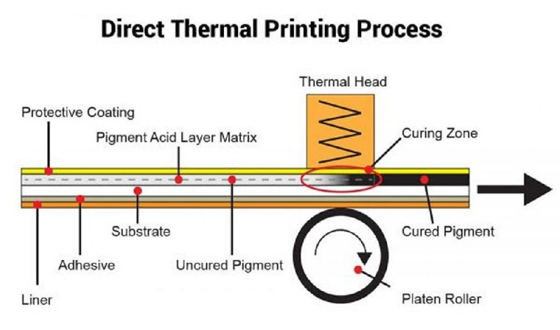 Direct-thermal-printing-process