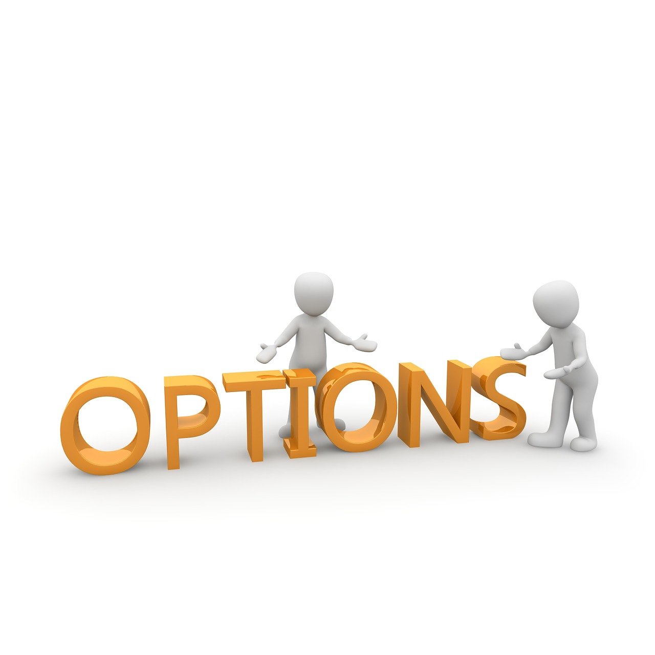 option, decision, consideration-1010899.jpg